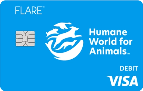 HWFA Flare Account debit card